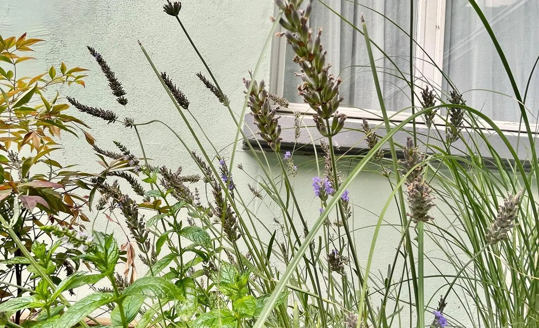 Hotel Villa Berlioz Lione